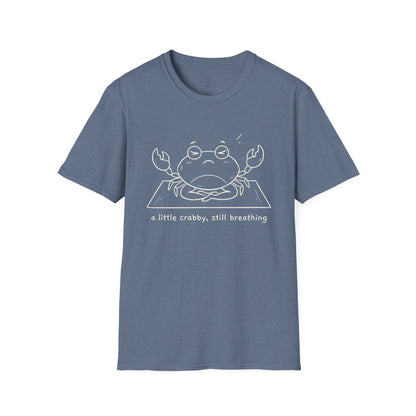 A Little Crabby Meditation T-Shirt