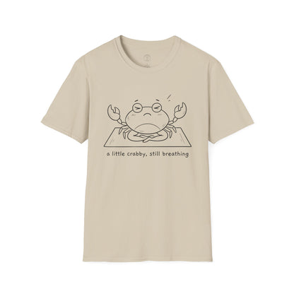 A Little Crabby Meditation T-Shirt